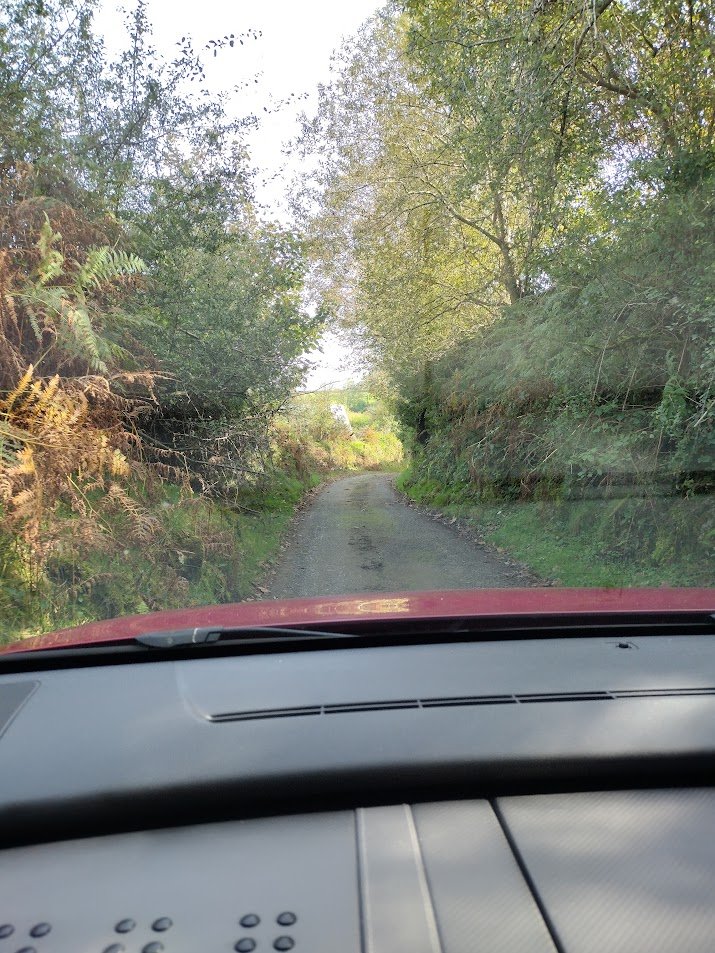 Cornish country lane