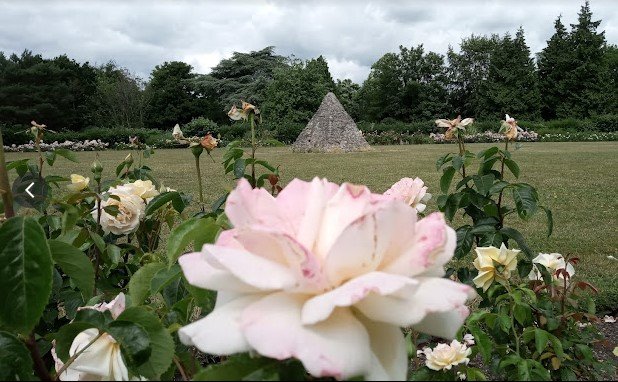 images of the public park in the Castle Grounds at Reigate