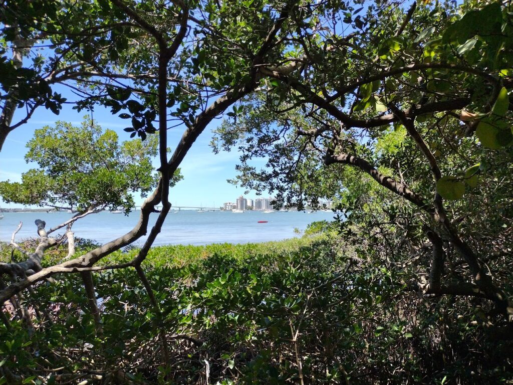Visiting Marie Selby Botanic Gardens, a view of Sarasota from the Gardens
